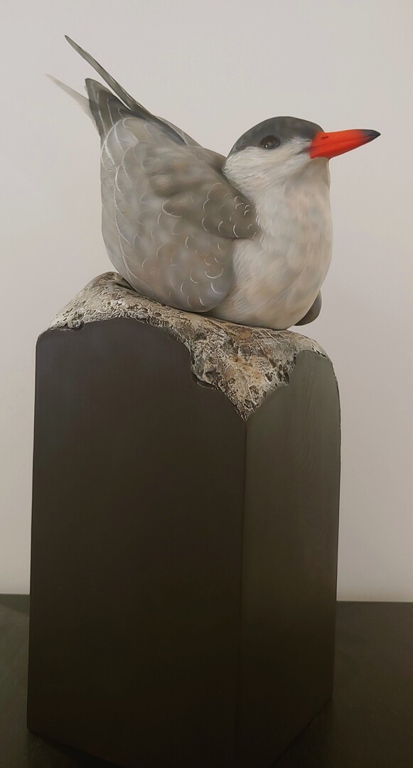 Tern - Wood Carving  - Jim van Oosten