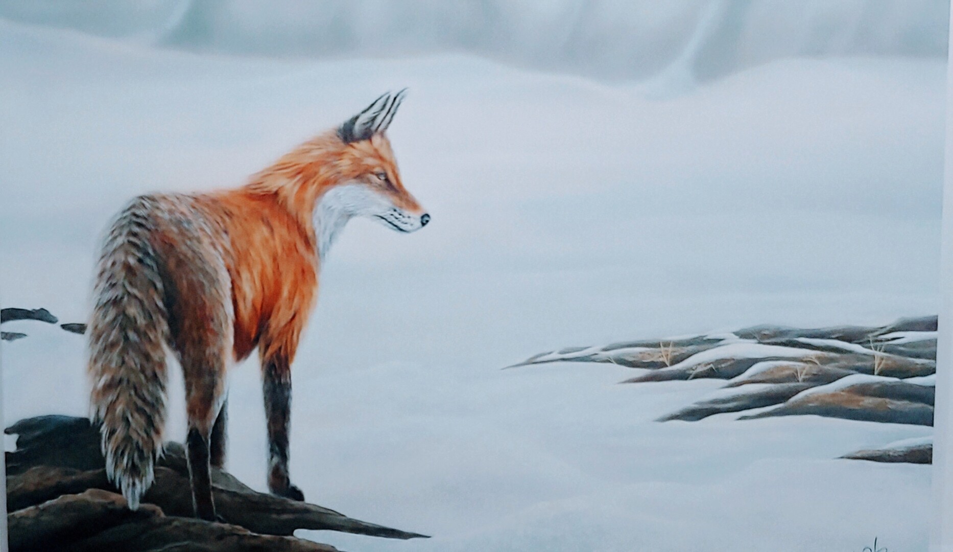 Fox - Jim van Oosten - 48 x 30