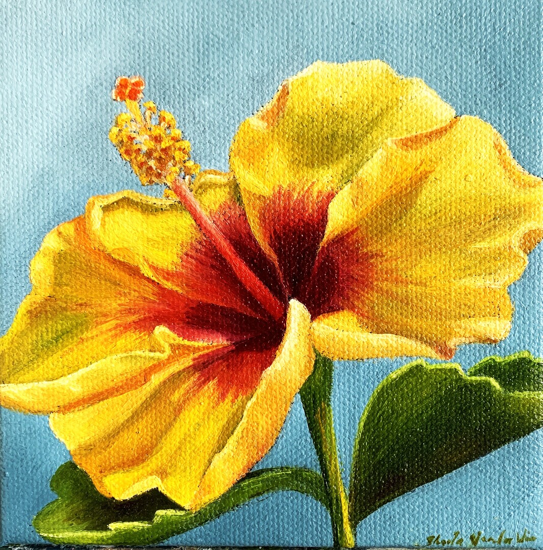 Yellow Hibiscus - 5 x 5 - Oil on canvas