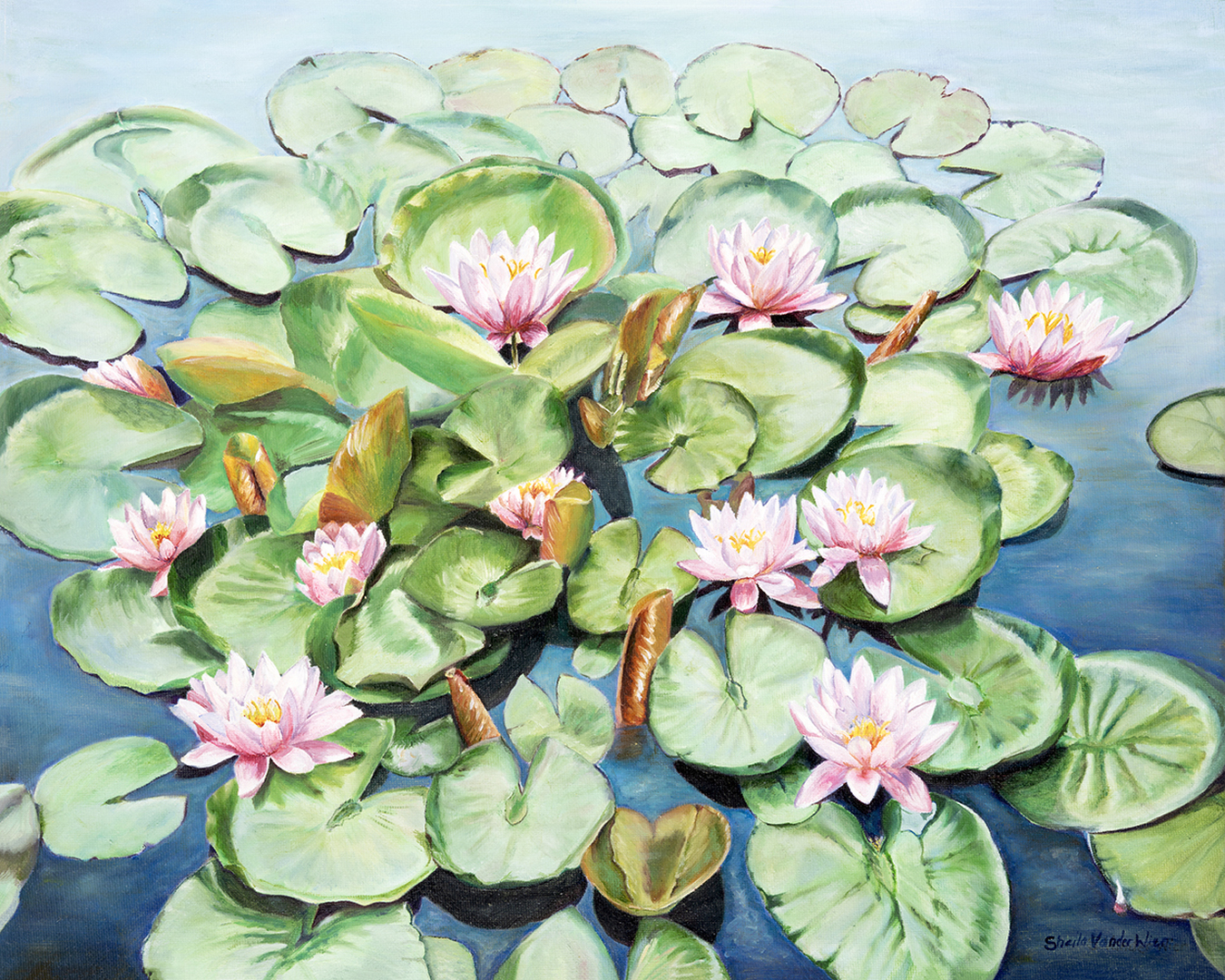 Water Lilies - 16 x 20