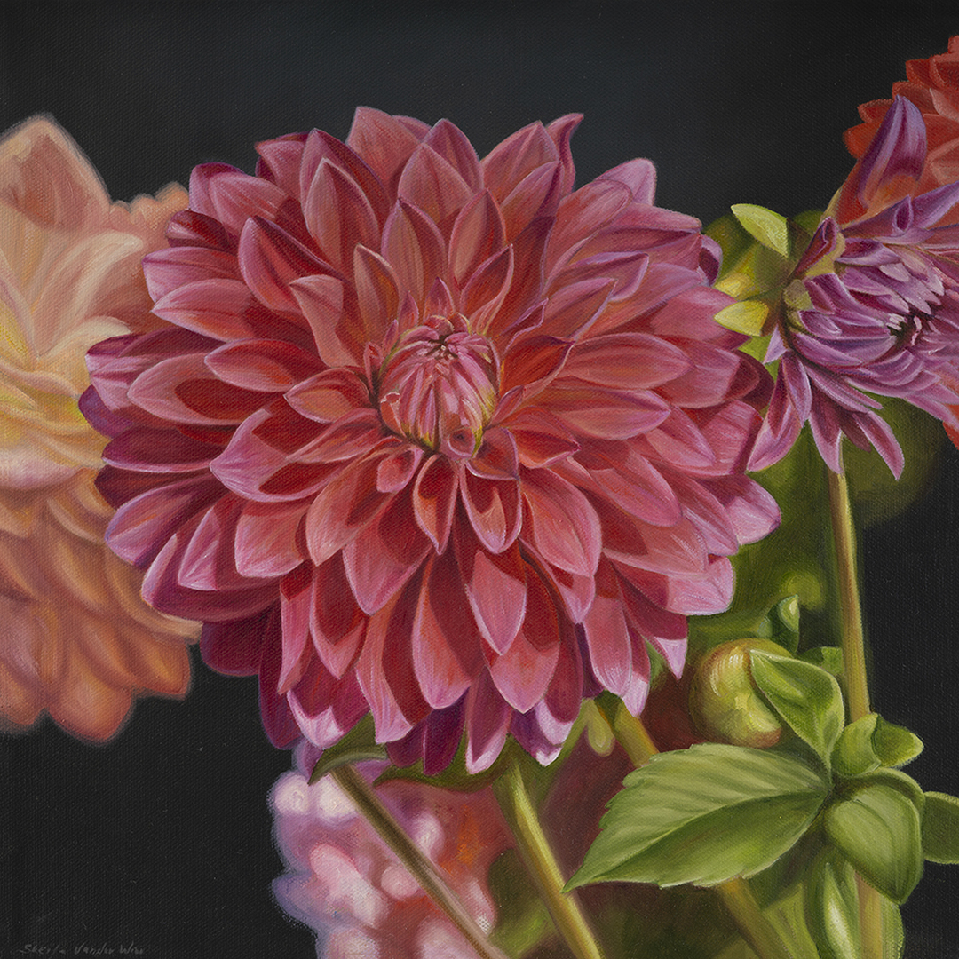Showstopper - 14 x 14 - Oil on Canvas