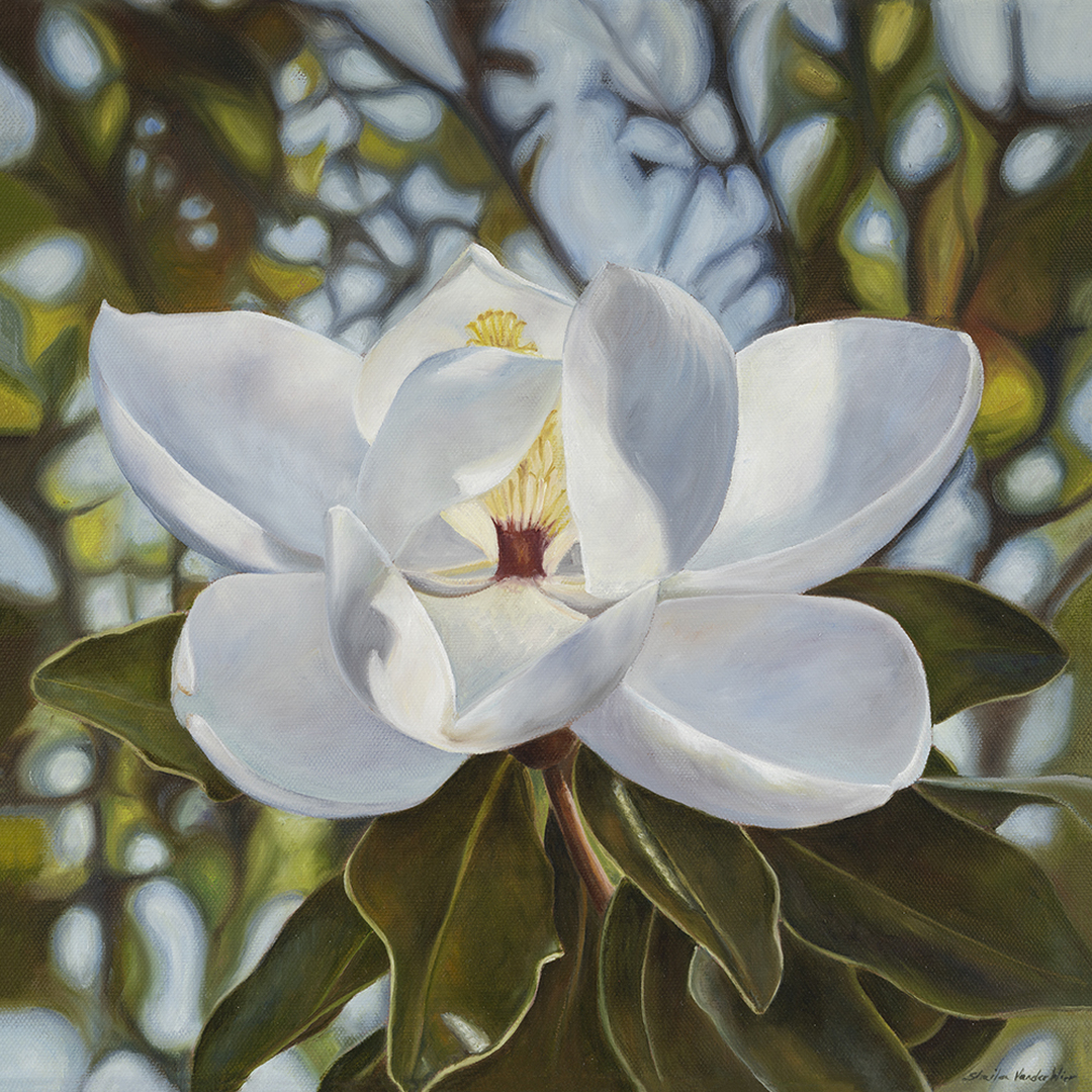 Southern Charm - 14 x 14 - Oil on Canvas