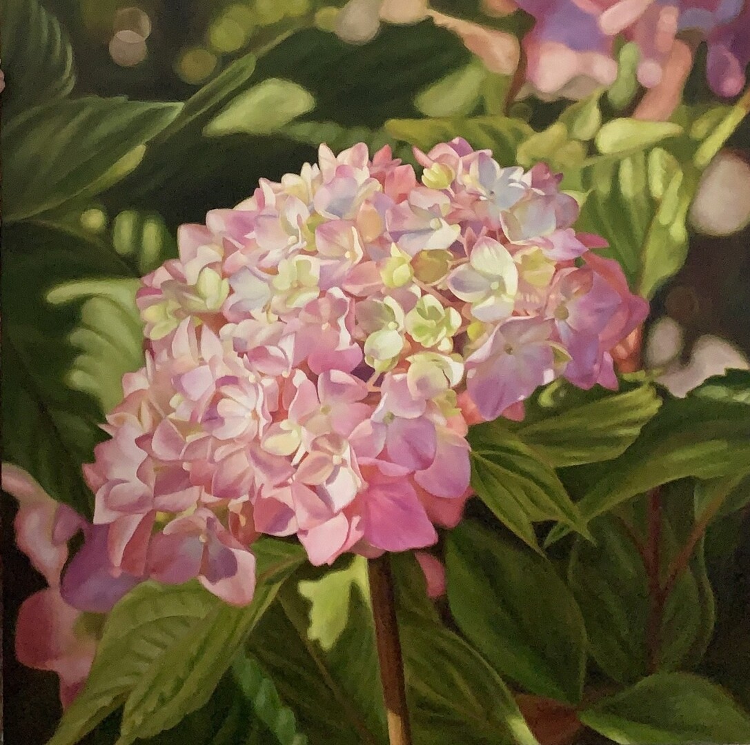 Summer Warmth - 36 x 36  -oil on canvas
