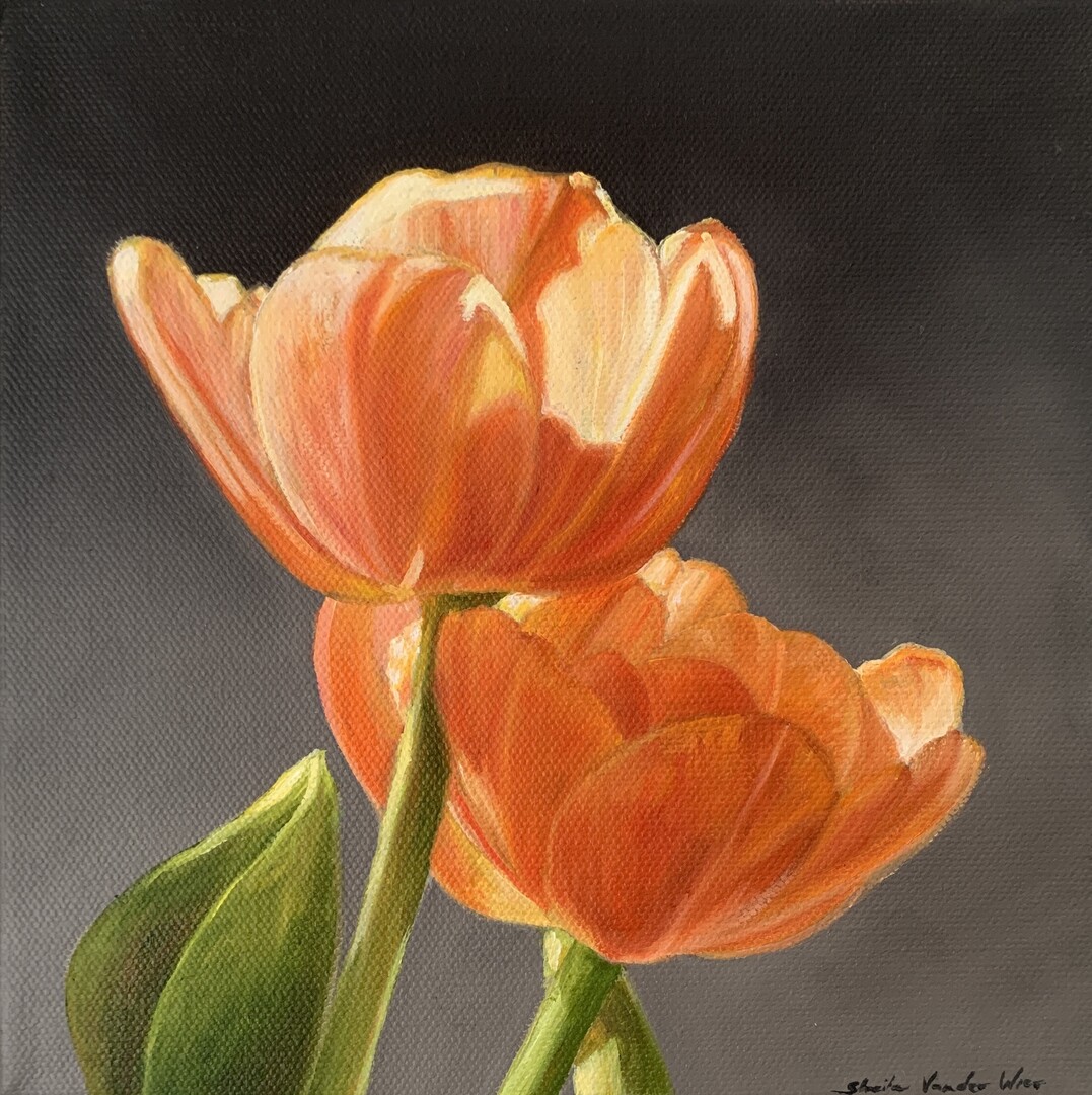 Cheerful 1 - 8x8 - Oil on Canvas