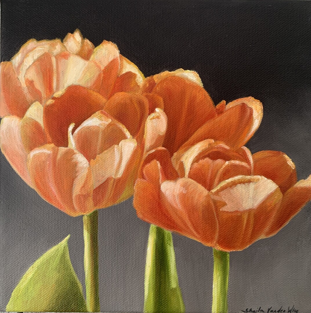 Cheerful ii - 8x8 - Oil on Canvas