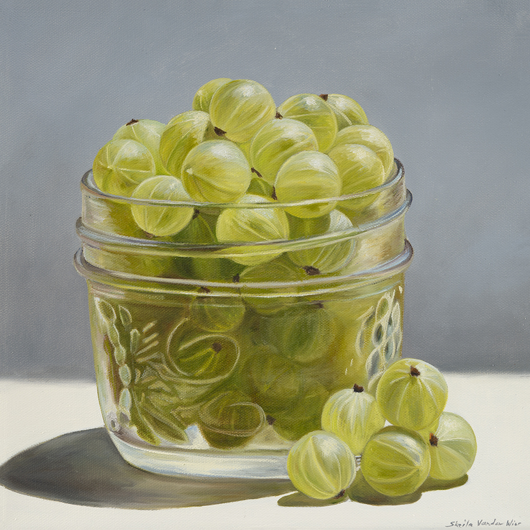 Harvest Time II - 12 x 12 - Oil on Canvas