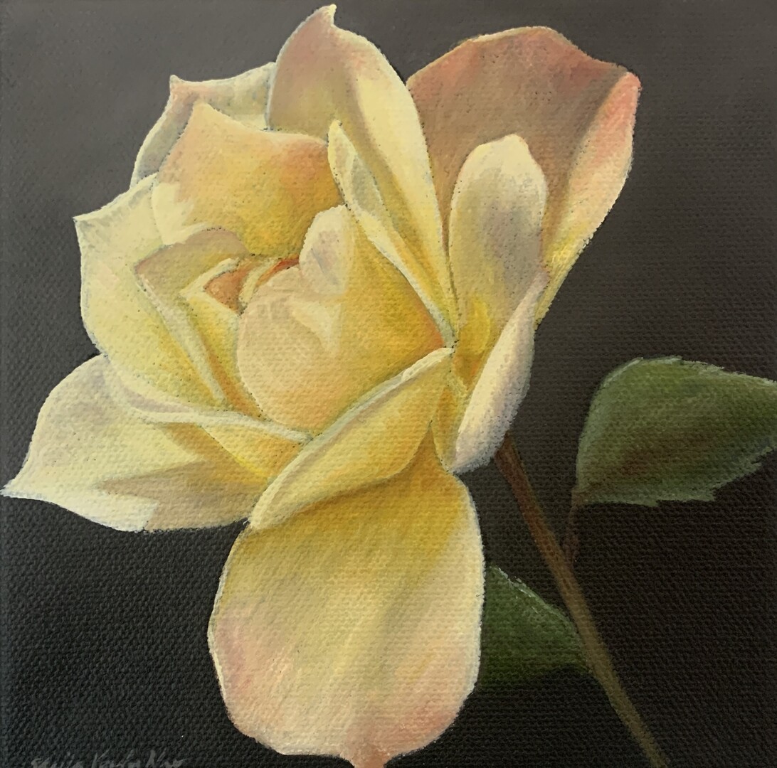 Roses IV - 6x6 - Oil on Canvas