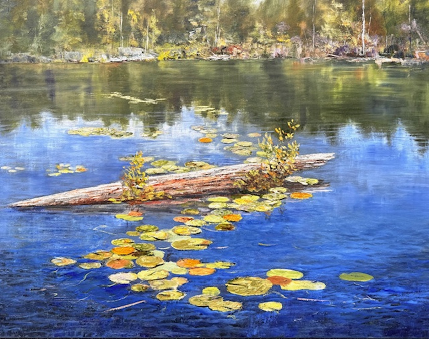 The Pond - 36 x 48 in. wide  -Oil on canvas