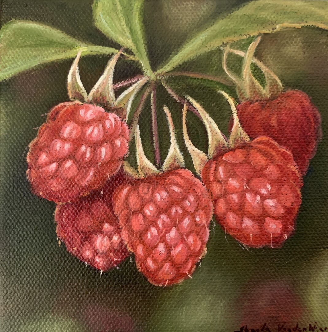 Raspberries - Garden Series XXI - Oil on Canvas - 4x4 in. Sheila Vander Wier