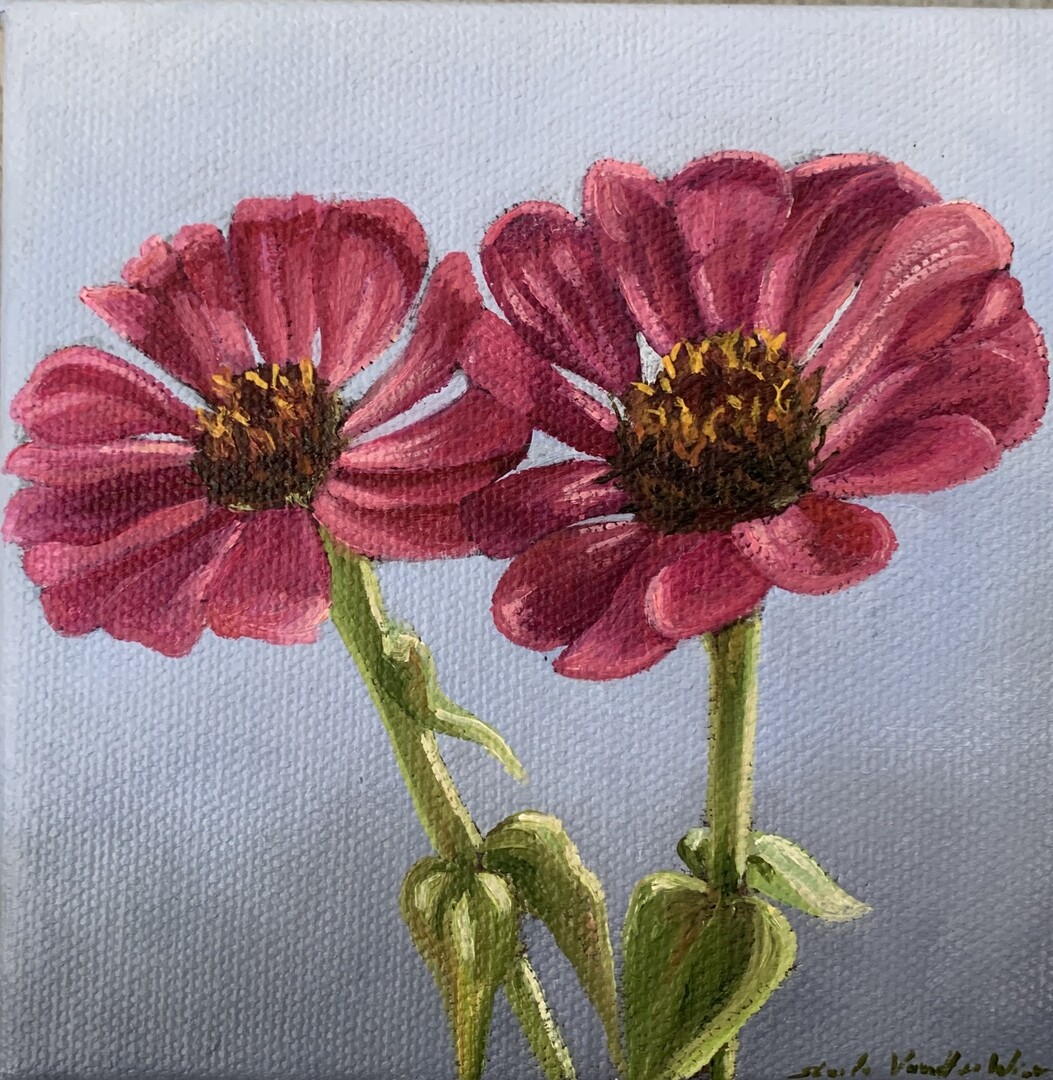 Purple Zinnias - Garden Series XIX - Oil on Canvas - Sheila Vander Wier