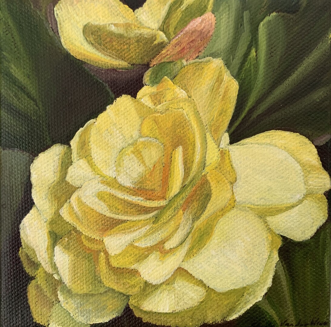 Yellow Begonias - Garden Series XX - Oil on Canvas 4x4 in. Sheila Vander Wier