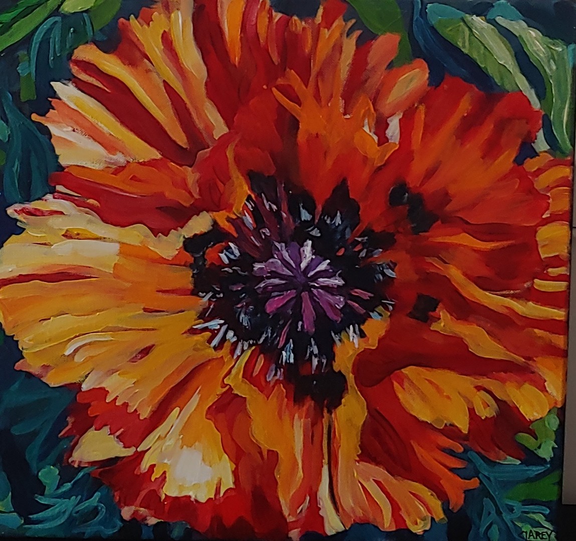 Bellefair Poppy - 16 x 16 - Oil on Canvas - Anna Clarey