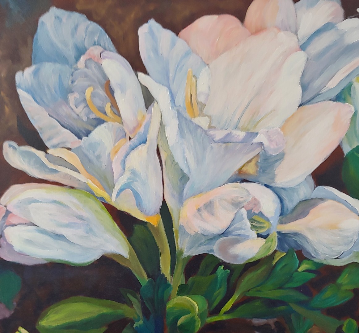 Freesias - 24 x 24 - Oil on Canvas - Anna Clarey