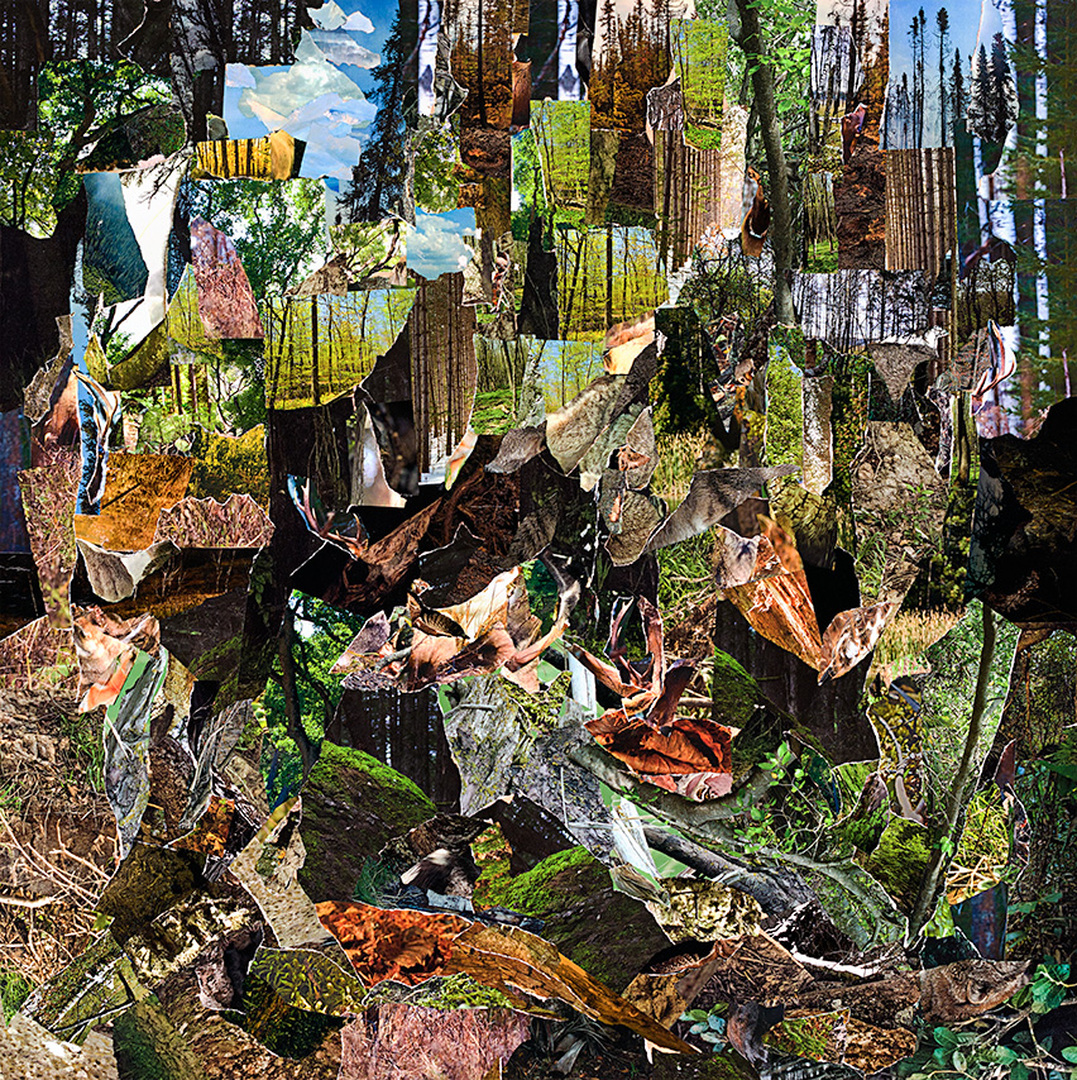 La Foret ( The Forest) - 36 x 36 - Collage ( Oil) - isabelle St. Roch