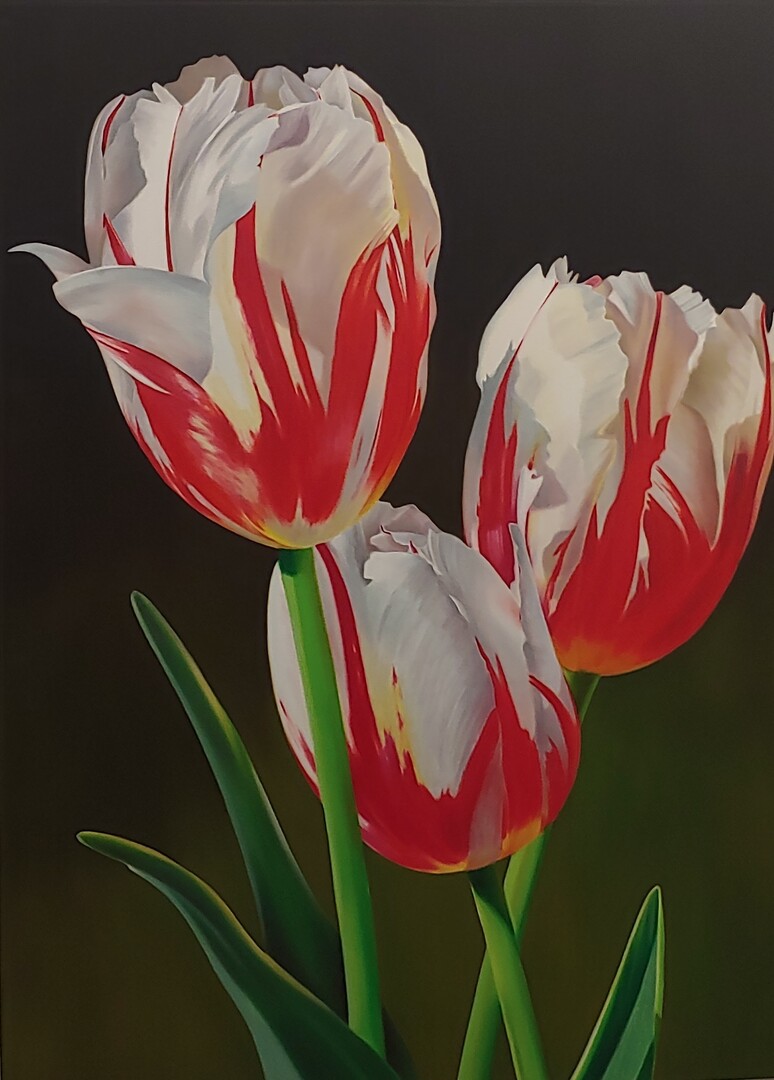 Rembrandt Tulips - Oil on Canvas - 48 x 36