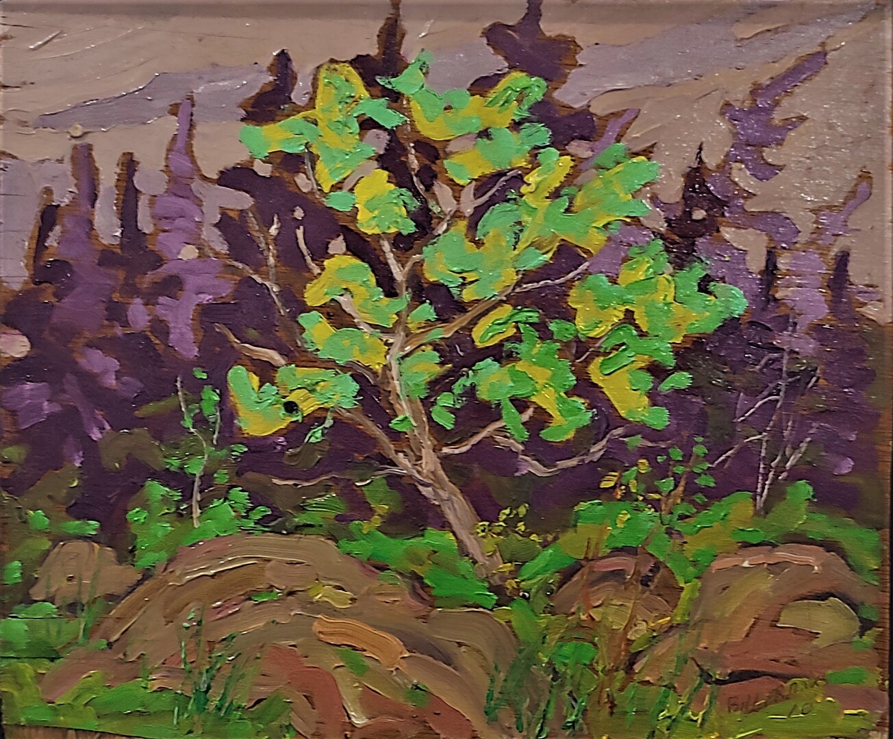 Early Spring Growth