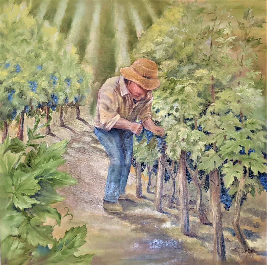 Pruning the Canopy-ck 24 x 24
