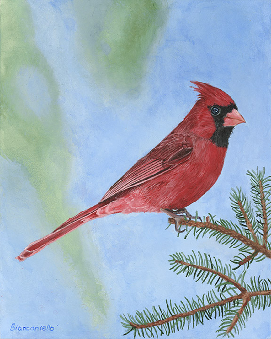 Cardinal - Acrylic on Canvas and Framed - 10 x 8 in. wide