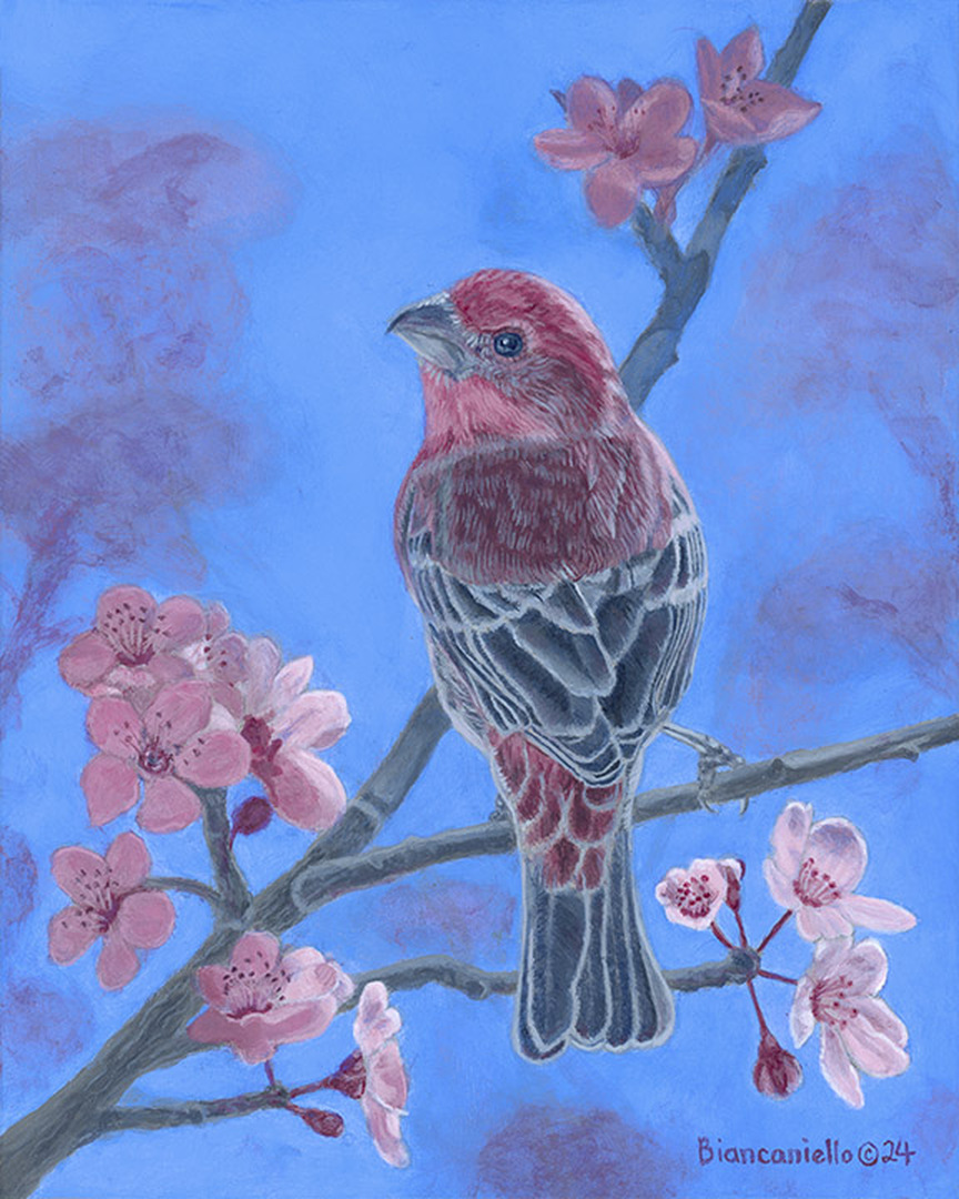 Spring Blush - 10 x 8 in.wide - Acrylic on Canvasemail